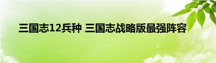 三国志12兵种 三国志战略版最强阵容
