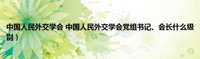 中国人民外交学会 中国人民外交学会党组书记、会长什么级别）