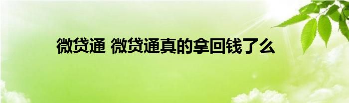 微贷通 微贷通真的拿回钱了么