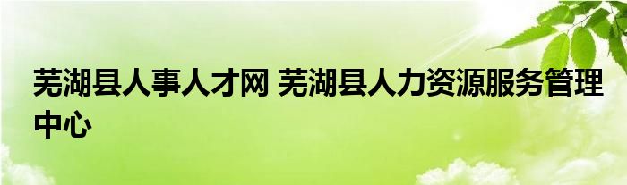 芜湖县人事人才网 芜湖县人力资源服务管理中心
