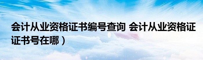 会计从业资格证书编号查询 会计从业资格证证书号在哪）