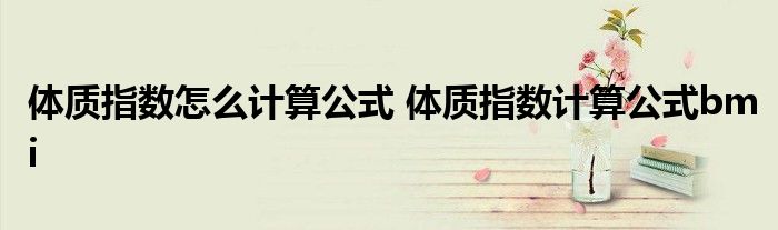 体质指数怎么计算公式 体质指数计算公式bmi