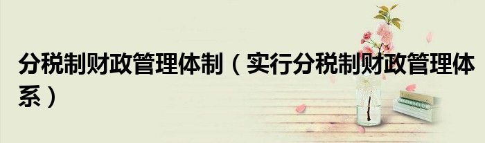 分税制财政管理体制（实行分税制财政管理体系）