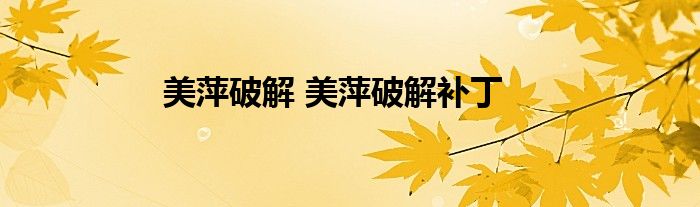 美萍破解 美萍破解补丁