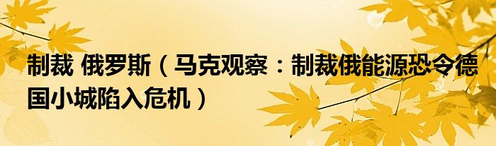 制裁 俄罗斯（马克观察：制裁俄能源恐令德国小城陷入危机）