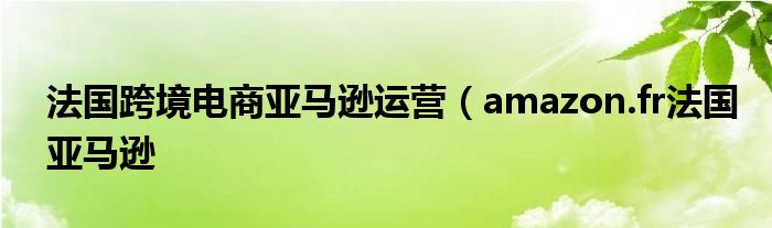 法国跨境电商亚马逊运营（amazon.fr法国亚马逊
