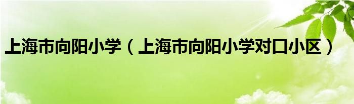 上海市向阳小学（上海市向阳小学对口小区）