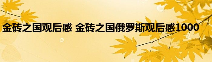 金砖之国观后感 金砖之国俄罗斯观后感1000