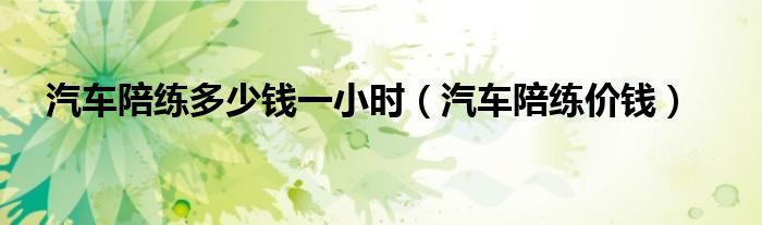 汽车陪练多少钱一小时（汽车陪练价钱）