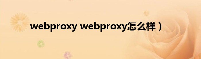 webproxy webproxy怎么样）