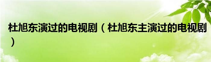 杜旭东演过的电视剧（杜旭东主演过的电视剧）