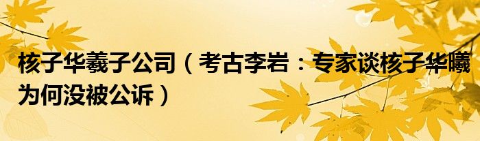 核子华羲子公司（考古李岩：专家谈核子华曦为何没被公诉）