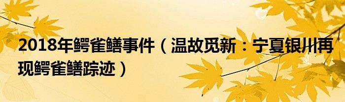 2018年鳄雀鳝事件（温故觅新：宁夏银川再现鳄雀鳝踪迹）