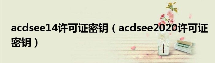 acdsee14许可证密钥（acdsee2020许可证密钥）