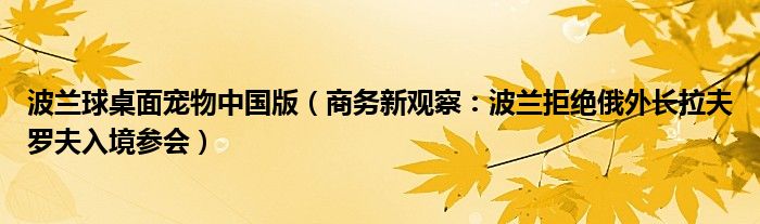 波兰球桌面宠物中国版（商务新观察：波兰拒绝俄外长拉夫罗夫入境参会）