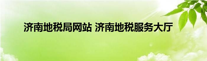 济南地税局网站 济南地税服务大厅