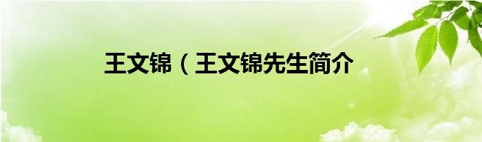 王文锦（王文锦先生简介
