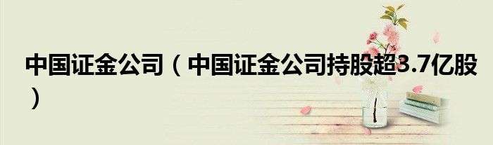 中国证金公司（中国证金公司持股超3.7亿股）