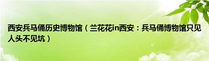 西安兵马俑历史博物馆（兰花花in西安：兵马俑博物馆只见人头不见坑）