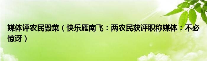 媒体评农民毁菜（快乐雁南飞：两农民获评职称媒体：不必惊讶）