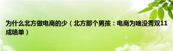为什么北方做电商的少（北方那个男孩：电商为啥没秀双11成绩单）