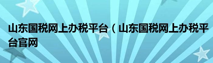 山东国税网上办税平台（山东国税网上办税平台官网