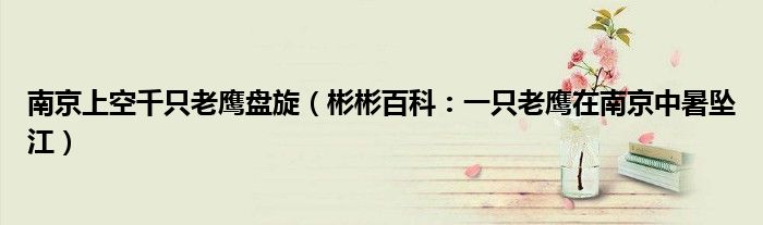 南京上空千只老鹰盘旋（彬彬百科：一只老鹰在南京中暑坠江）