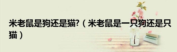 米老鼠是狗还是猫?（米老鼠是一只狗还是只猫）