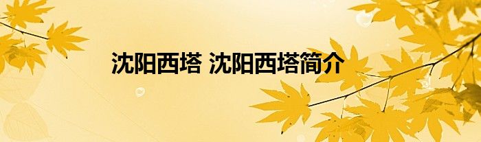 沈阳西塔 沈阳西塔简介