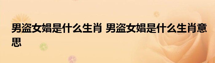 男盗女娼是什么生肖 男盗女娼是什么生肖意思