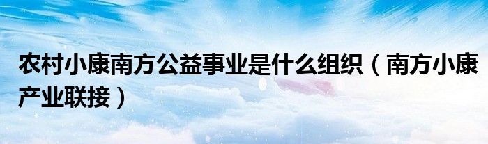 农村小康南方公益事业是什么组织（南方小康产业联接）