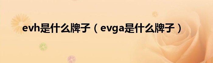 evh是什么牌子（evga是什么牌子）