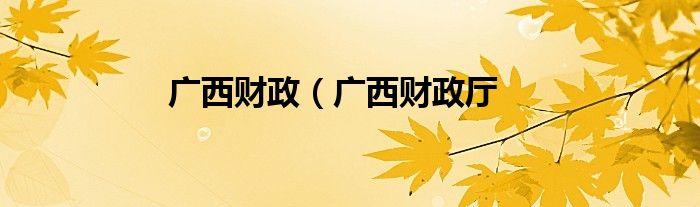 广西财政（广西财政厅