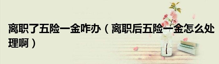 离职了五险一金咋办（离职后五险一金怎么处理啊）