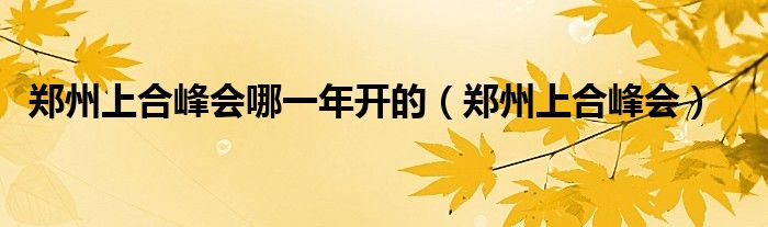 郑州上合峰会哪一年开的（郑州上合峰会）