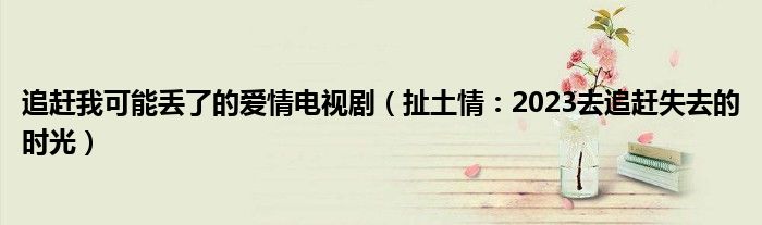 追赶我可能丢了的爱情电视剧（扯土情：2023去追赶失去的时光）