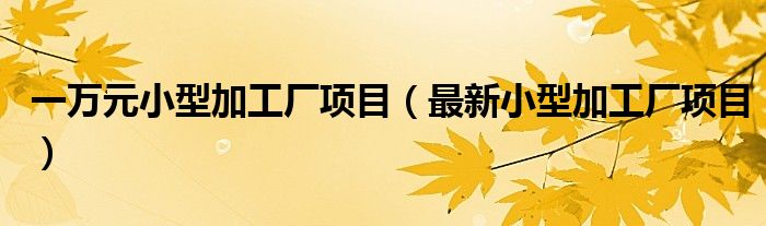 一万元小型加工厂项目（最新小型加工厂项目）
