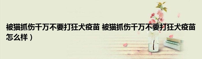 被猫抓伤千万不要打狂犬疫苗 被猫抓伤千万不要打狂犬疫苗怎么样）