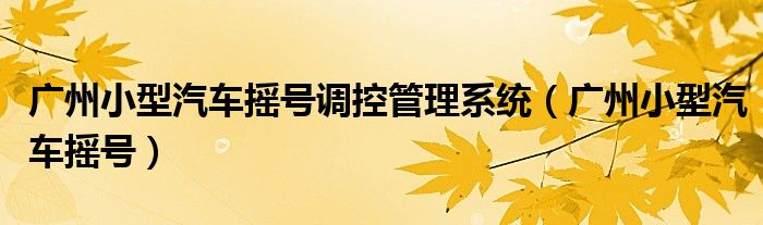 广州小型汽车摇号调控管理系统（广州小型汽车摇号）