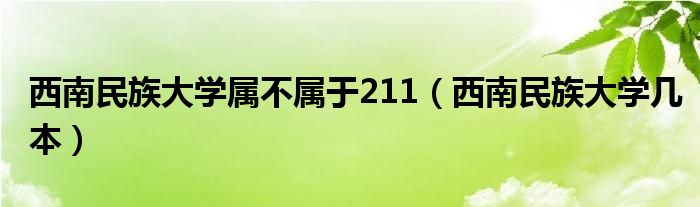 西南民族大学属不属于211（西南民族大学几本）