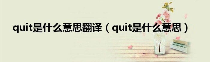 quit是什么意思翻译（quit是什么意思）