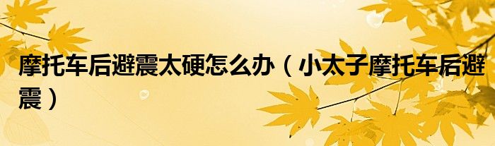 摩托车后避震太硬怎么办（小太子摩托车后避震）