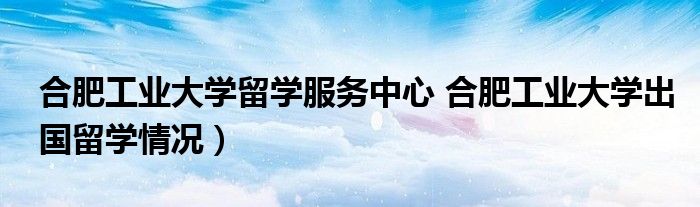 合肥工业大学留学服务中心 合肥工业大学出国留学情况）