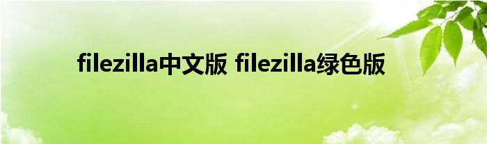 filezilla中文版 filezilla绿色版