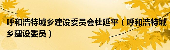 呼和浩特城乡建设委员会杜延平（呼和浩特城乡建设委员）