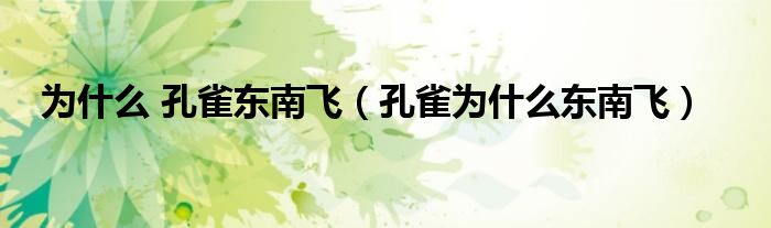 为什么 孔雀东南飞（孔雀为什么东南飞）