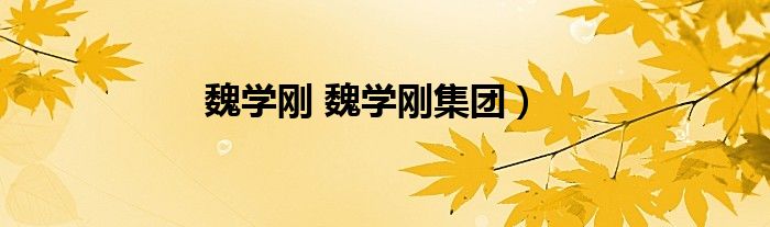 魏学刚 魏学刚集团）