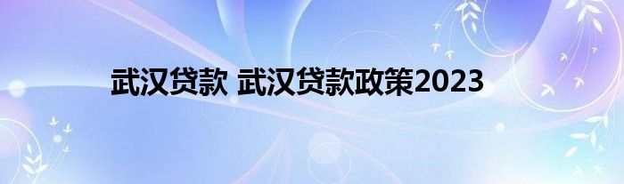 武汉贷款 武汉贷款政策2023