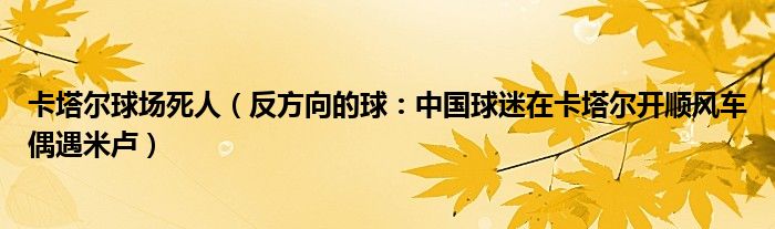 卡塔尔球场死人（反方向的球：中国球迷在卡塔尔开顺风车偶遇米卢）