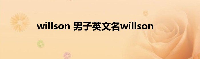 willson 男子英文名willson